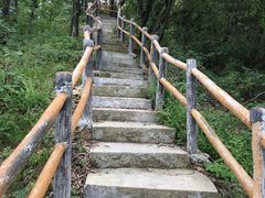 -商洛老君山旅游风景区