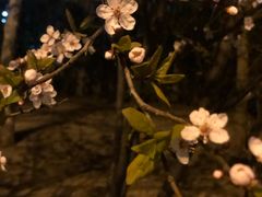 -天津水游城丽筠酒店