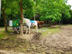 -上海海湾国家森林公园