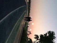 -贡湖湾湿地公园