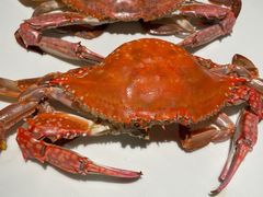 -三利音·玖弄小鲜(浦东嘉里城店)