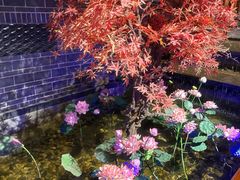 -真定郝家排骨(正定县总店)