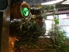 iphone_upload_pic-苏沐堂全息足浴·SPA·按摩(万科美好广场店)