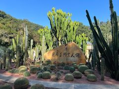 -深圳仙湖植物园