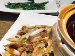 京葱爆锡盟羔羊肉-渝信川菜 · 川味家常菜(长安店)
