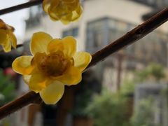 -都氏家DUSJOY(翡翠城店)