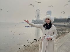 -琴岛之星摩天轮