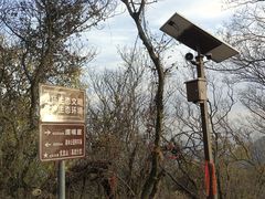 -南京老山国家森林公园
