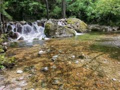 -牛背梁国家森林公园