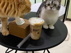 -藏猫猫咖啡主题馆(中央大道店)