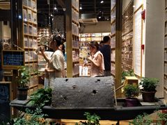 -猫的天空之城概念书店(杭州南宋御街店)