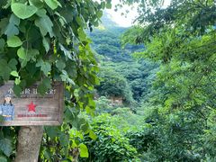 -湖洞水自然风景区