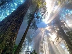 -瑞虹新天地月亮湾