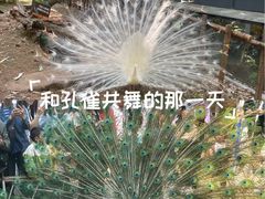 -昆明动物园