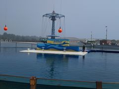 -秦皇岛乐岛海洋王国