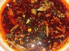 凉拌鸡-铁公鸡·四川料理(天环广场店)