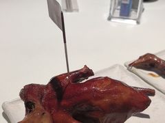 -侨美·唐荔园·40年地道粤菜