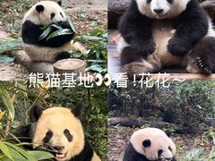 -大龙燚火锅(太古里店)