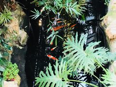 -聚缘堂·海鲜私房菜(松岭路店)
