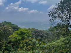 -梧桐山风景名胜区