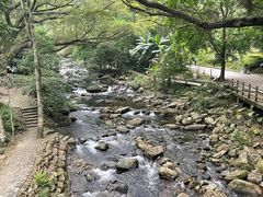 -广州市石门国家森林公园