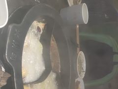 -火锅岛潮牌自助餐厅(天津天佑城店)