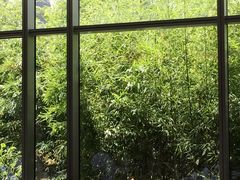 -北京北辰洲际酒店啡扬咖啡厅·自助餐厅