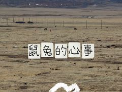 -祁连山草原