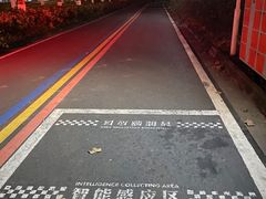 -南京奥林匹克体育中心-体育馆