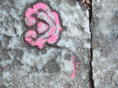 -西湖风景区十里琅珰-五云山