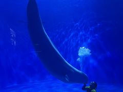 -多彩贵州城极地海洋世界