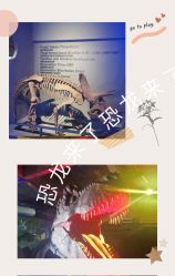 -恐龙探索乐园(磁器口店)