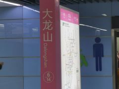 -大龙山(地铁站)