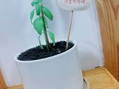 -呷贺盐酥鸡(抄纸巷店)