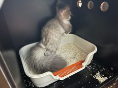 -宠物星动物医院·眼科·异宠·猫专科中心(江南大道总院)