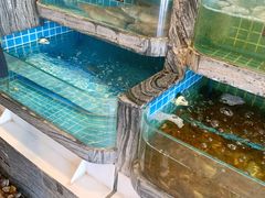 -阿娘家·原生态农家菜(国顺东路店)