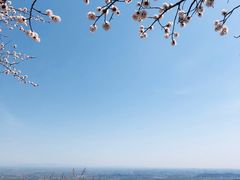 -阳台山自然风景区