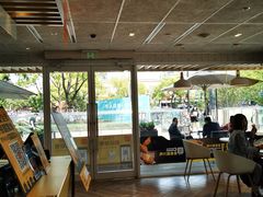 -麦当劳(塔园路店)