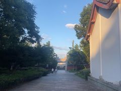 -观潮胜地公园