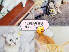-鱼珠码头(轮渡站)