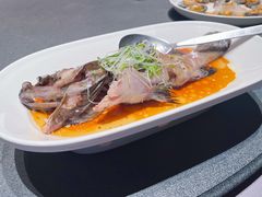 清蒸老虎斑-徐记海鲜(曲江南湖店)