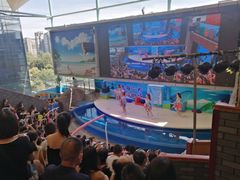 -成都浩海立方海洋公园