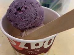 -哈根达斯(绍兴银泰店)