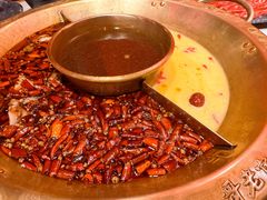 -哥老官重庆美蛙鱼头(宝山龙湖店)