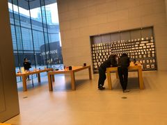 -Apple零售店(华贸购物中心店)
