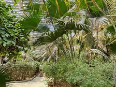 -龙达温泉生态城