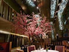 -金轩中餐厅 Jin Xuan(浦东丽思卡尔顿酒店)