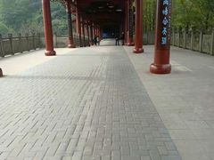 -重庆彩云湖湿地公园