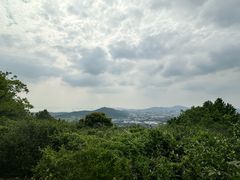 -旺山景区