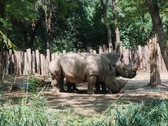 -北京野生动物园